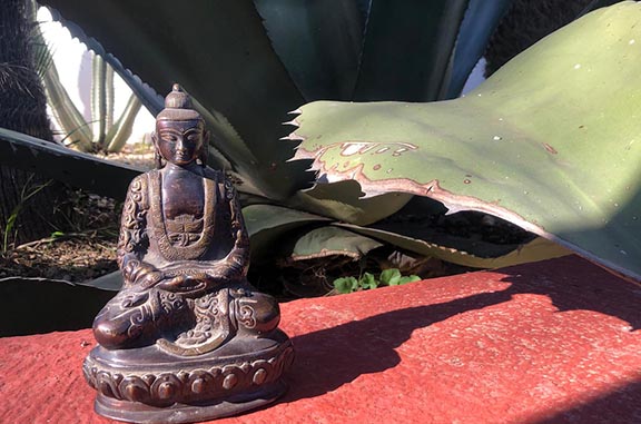 Detalle figura y cactus en Mdina