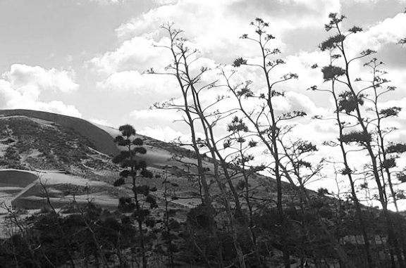 retiro hatha Yoga marzo 2026 en cabo de gata retiro hatha Yoga marzo 2026 en cabo de gata