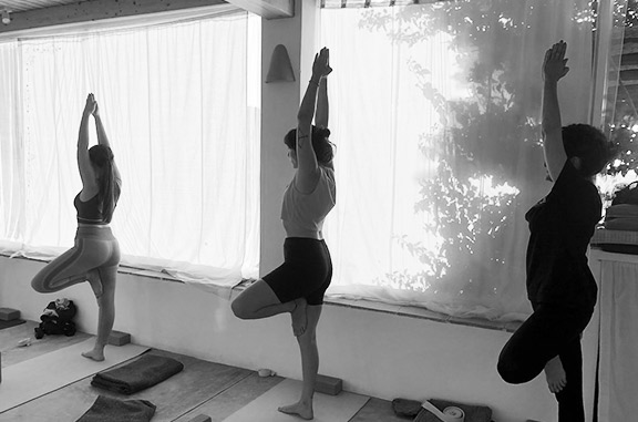 Sesiones privadas de Yoga para grupos, familias y parejas Sesiones privadas de Yoga para grupos, familias y parejas